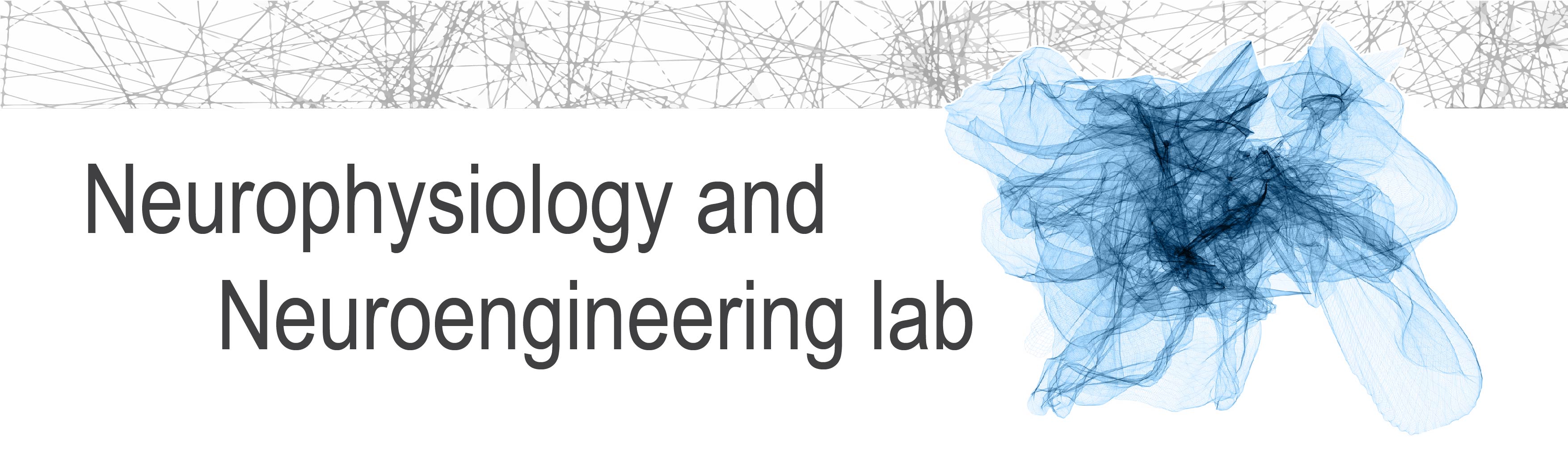 Neurophysiology and Neuroengineering Lab @ FMUP