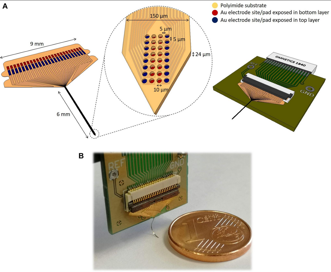 Double-Layer flexible neural probe with closely spaced electrodes for high-density in vivo brain recordings