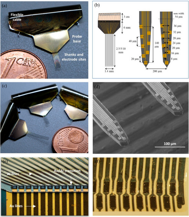 Hybrid multisite silicon neural probe with integrated flexible connector for interchangeable packaging