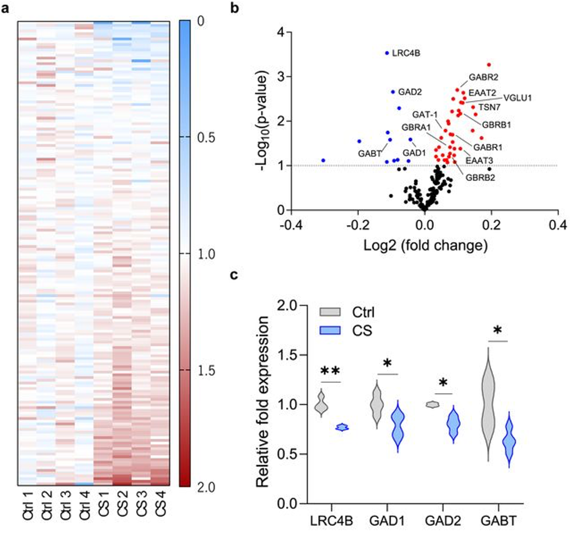 Chronic Stress Alters Synaptic Inhibition/Excitation Balance of Pyramidal Neurons But Not PV Interneurons in the Infralimbic and Prelimbic Cortices of C57BL/6J Mice