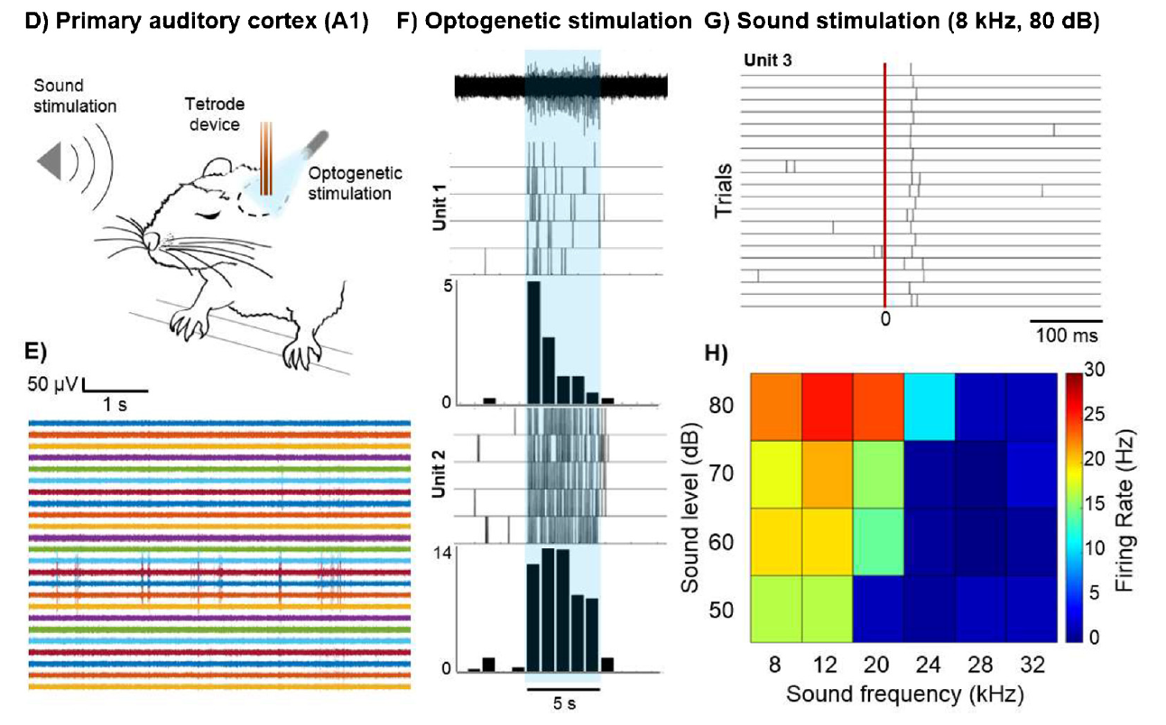 A versatile and modular tetrode-based device for single-unit recordings in rodent ex vivo and in vivo acute preparations