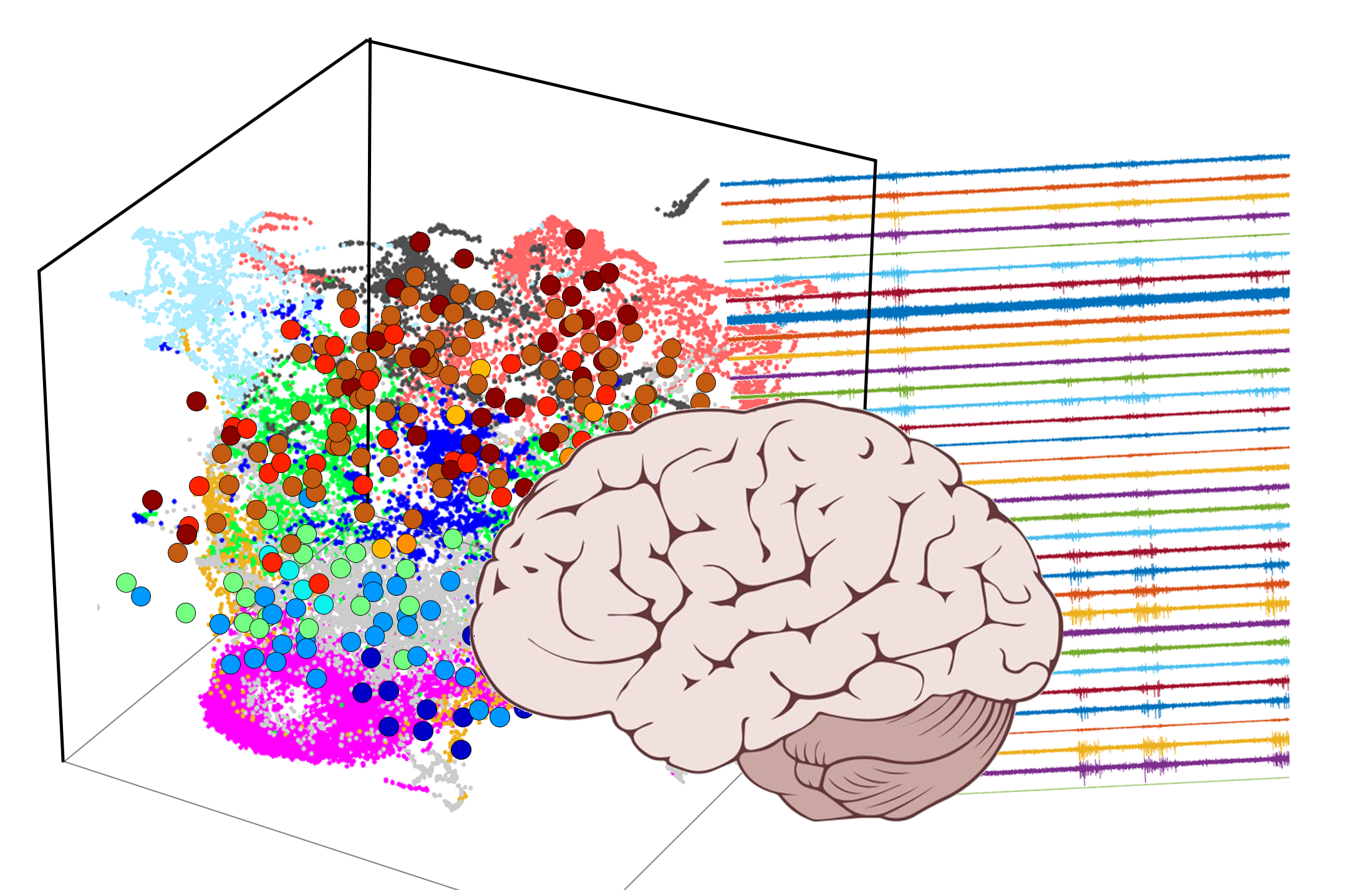 Machine learning for brain activity